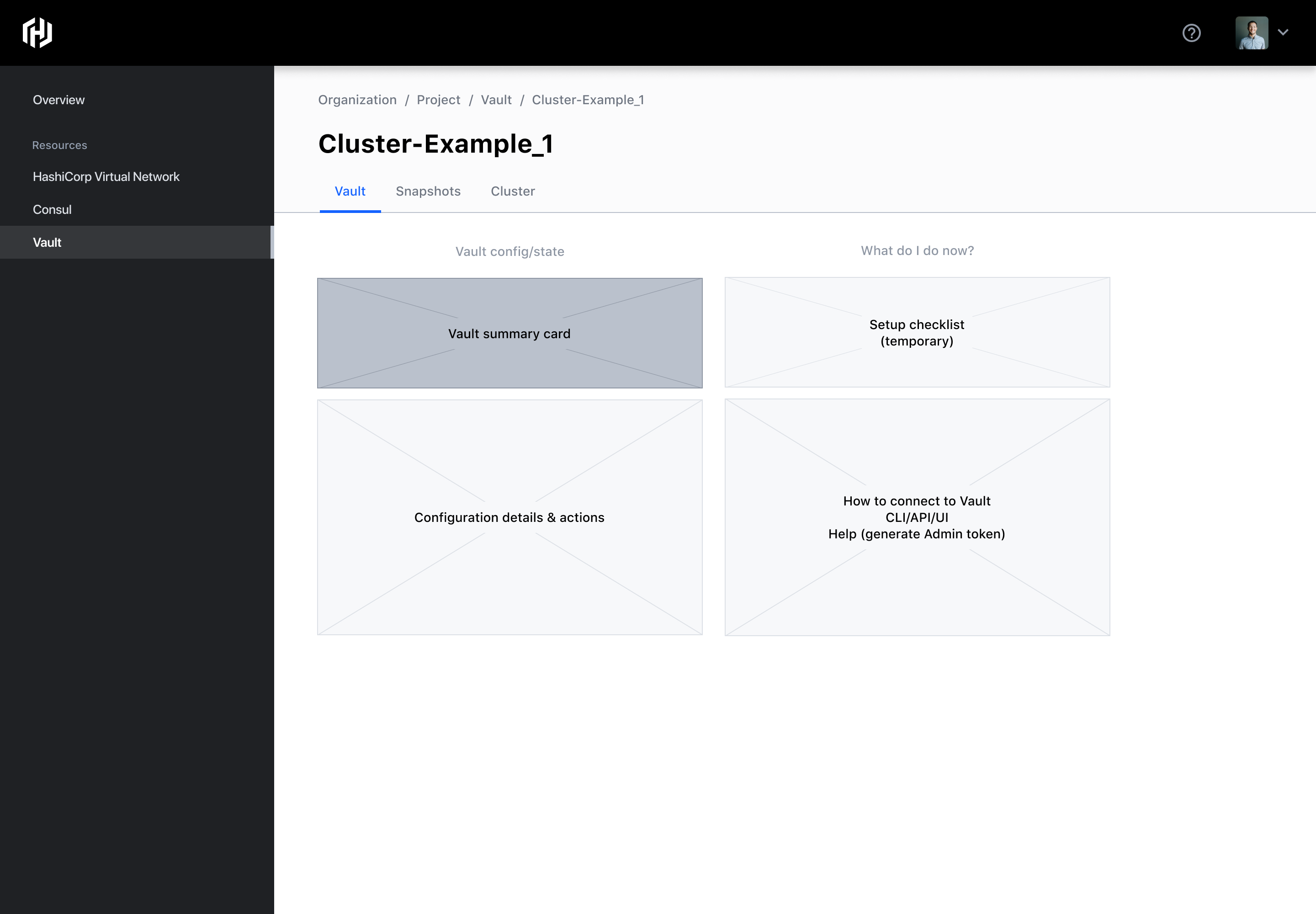 HCP Vault Wireframe (3 of 3)